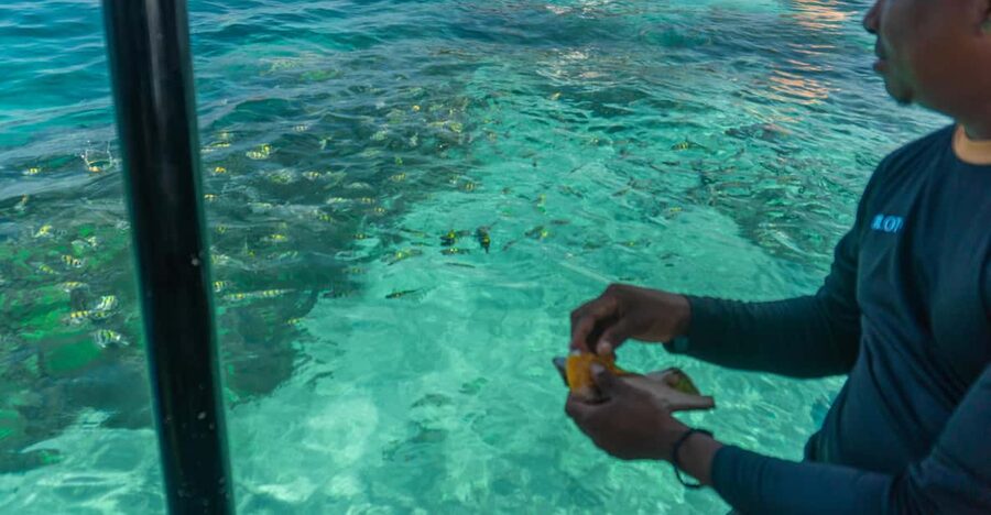 Cartagena: Ecoplan on Barú, Aviary and Oceanarium in one day - Price and Value: Is $68 a Good Deal for This Much in One Day?
