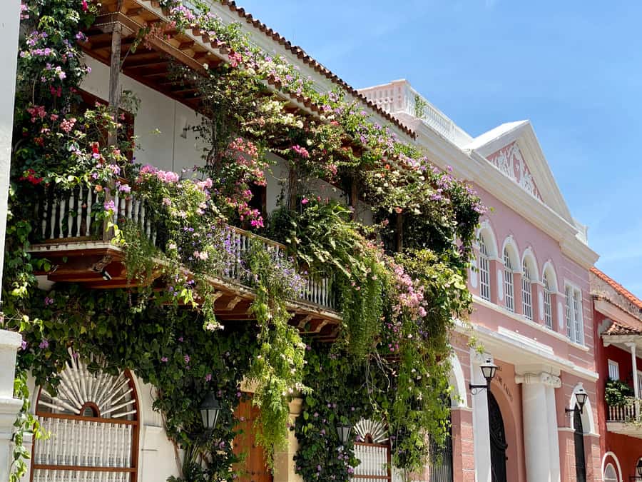 Cartagena: History, Culture & Coffee Experience - Getsemaní After the Main Sights: Street Art and Local Sound