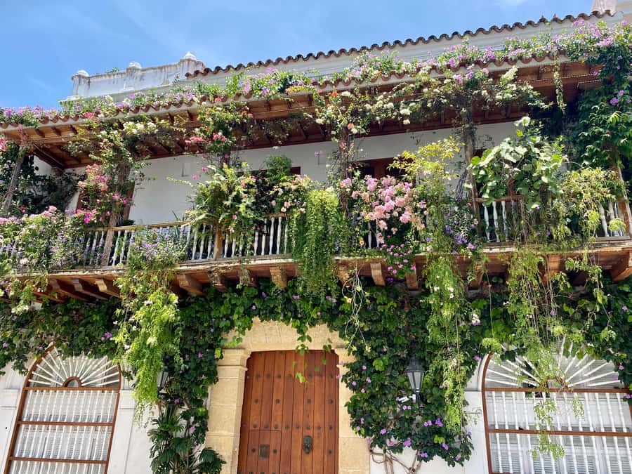 Cartagena: History, Culture & Coffee Experience - Price and Logistics for a 4-Hour Private Tour