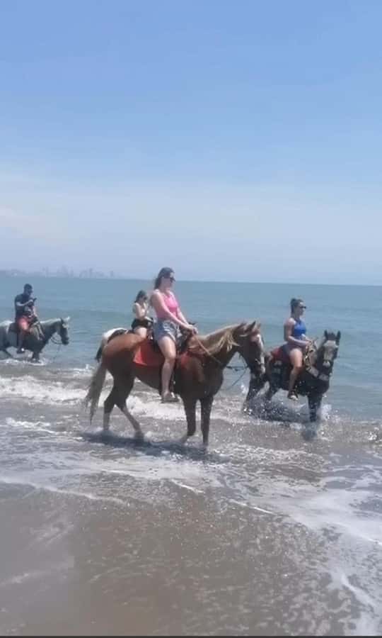 Cartagena: Horse Riding on the Beach with Photos and Lunch - Key Highlights You’ll Actually Care About