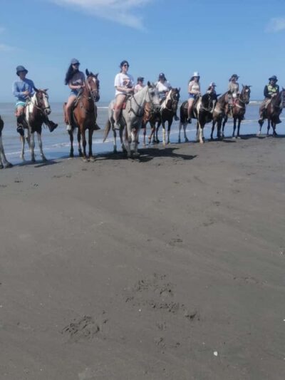 Horse Riding on the Beach with Photos and Lunch