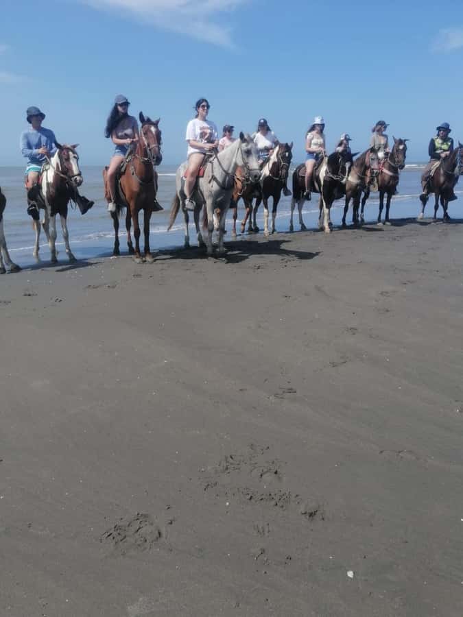 Cartagena: Horse Riding on the Beach with Photos and Lunch - Getting Set Up: Meeting Point and What Happens First