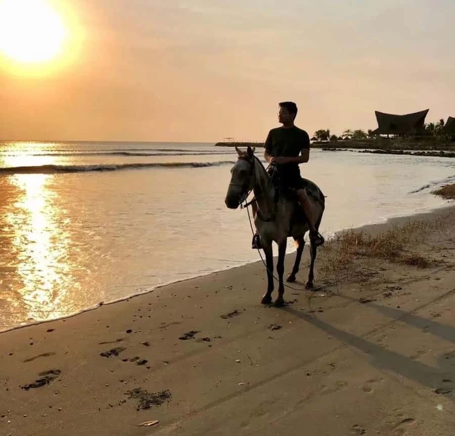 Cartagena: Horseback Ridding Excursion on the Beach - Key things to know before you book