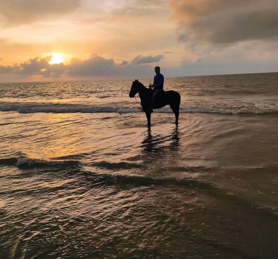 Cartagena: Horseback Ridding Excursion on the Beach - Meeting your guide and choosing the right horse