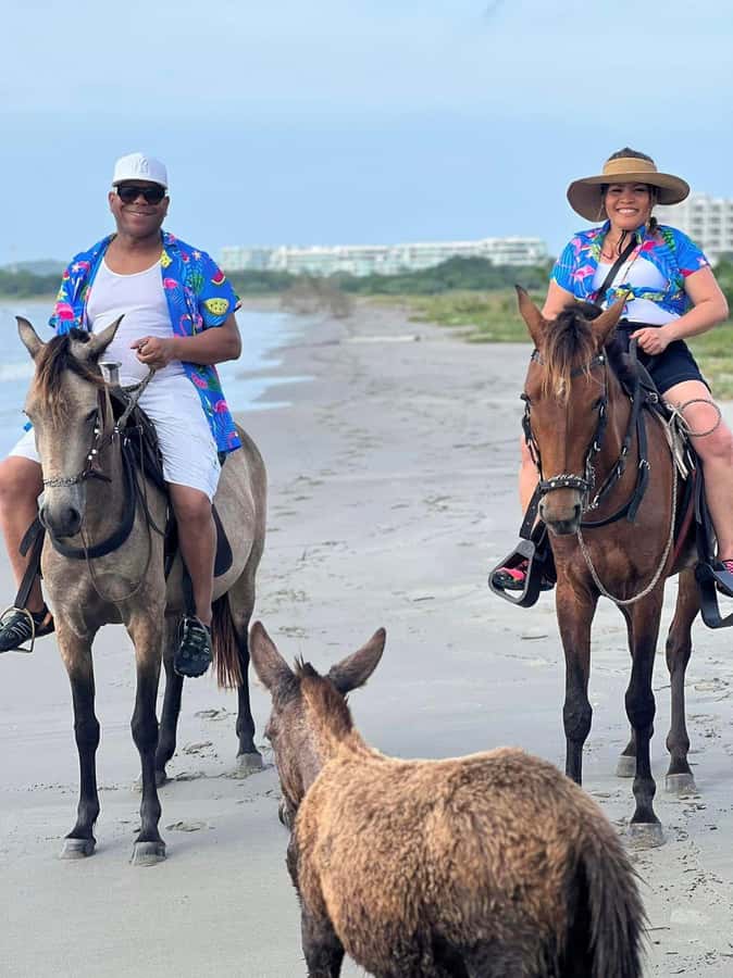 Cartagena: Horseback Ridding Excursion on the Beach - Safety and horse welfare: what you should watch for