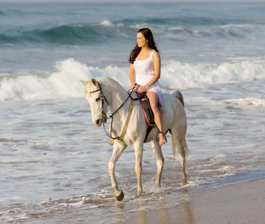 Cartagena: Horseback Riding on the Beach at Sunset - Key highlights to know before you go
