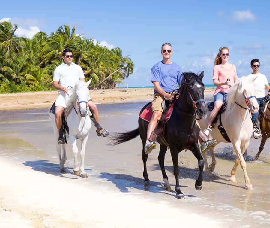 Cartagena: Horseback Riding on the Beach at Sunset - The 1.5-hour horseback plan: instruction first, sunset second