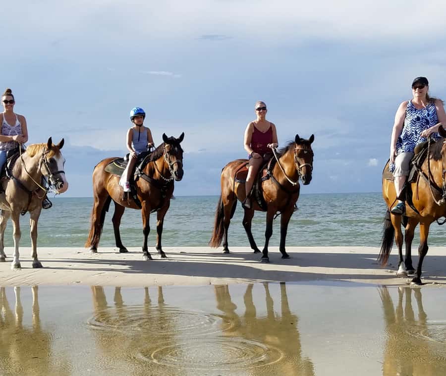 Cartagena: Horseback Riding on the Beach at Sunset - What you see on the beach: mangroves, wildlife, and eco-tourism talk