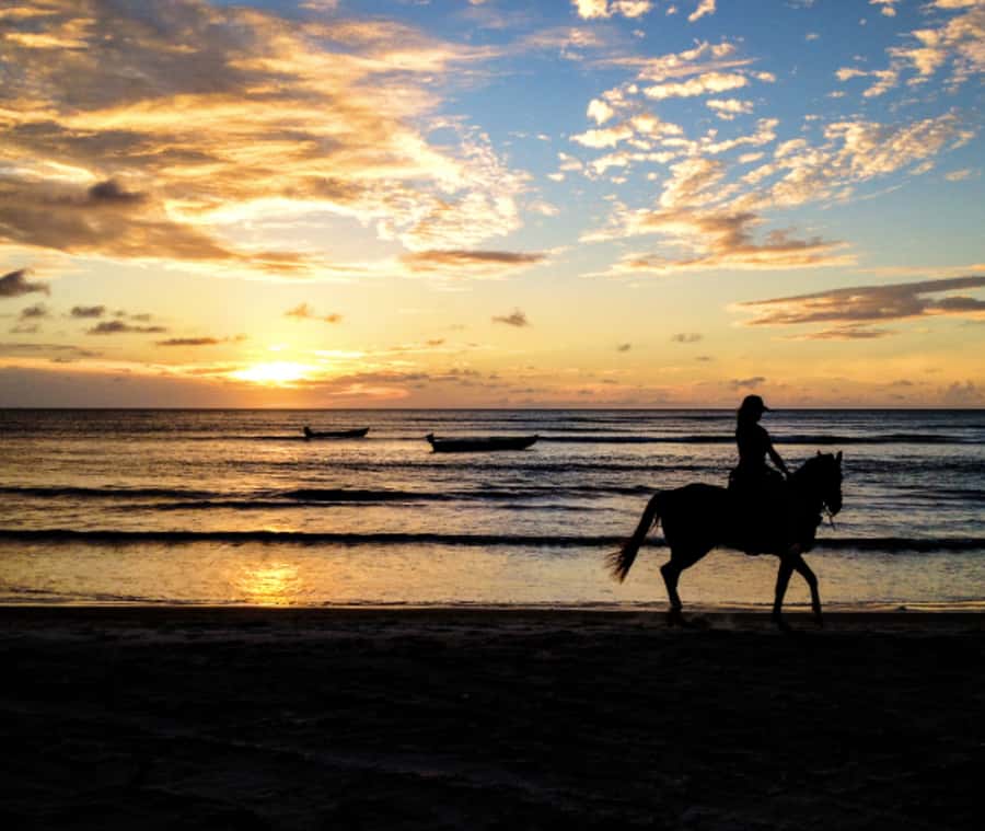 Cartagena: Horseback Riding on the Beach at Sunset - Horses, safety, and the reality of wet legs
