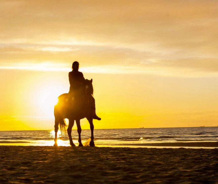 Cartagena: Horseback Riding on the Beach at Sunset - Price and value: is $50 a fair deal?