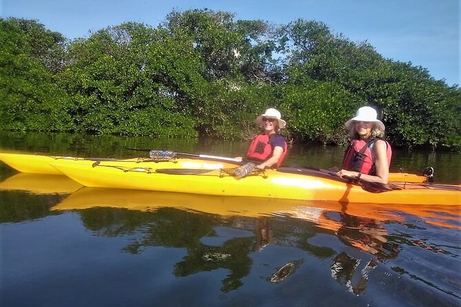 Cartagena In Kayak - Stop Two: Island of the Birds in the Lagoon of San Lázaro