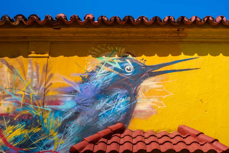 Cartagena Instagram Mobile Workshop: Scenic and Trendy Shots - Why a Getsemani phone photo class works so well