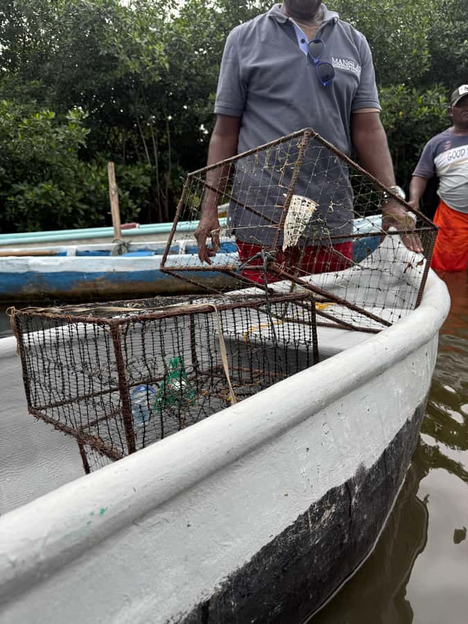 Cartagena: Mangrove Eco Tour & Fishing with Transportation - Drums, dance, and why it feels respectful instead of staged