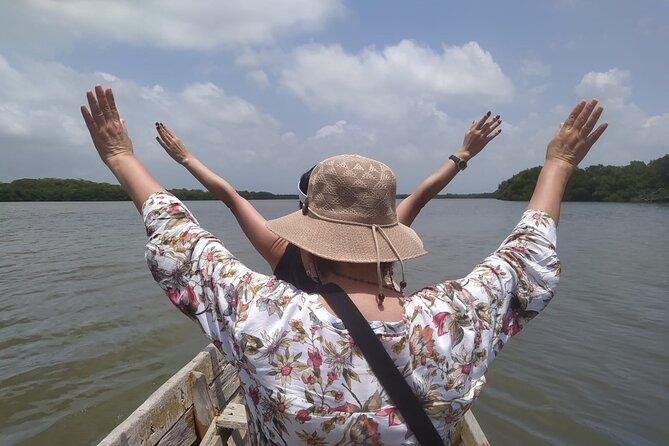Cartagena Mangrove Private Tour - Key highlights of this Cartagena mangrove private tour