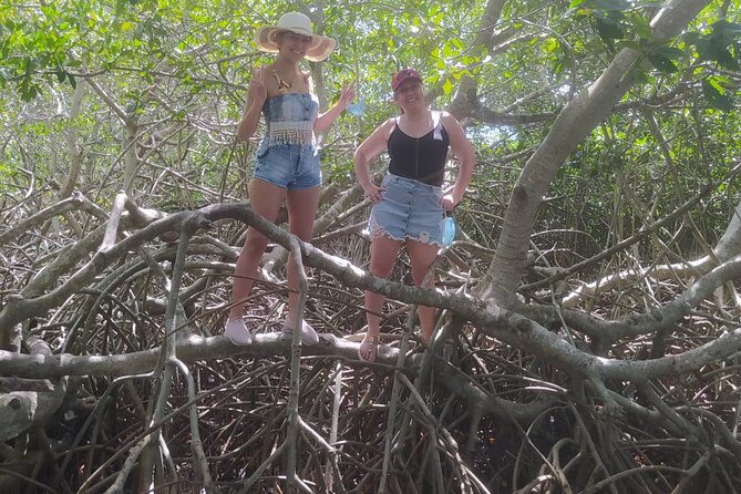 Cartagena Mangrove Private Tour - Price and logistics: what $63 buys you in real terms
