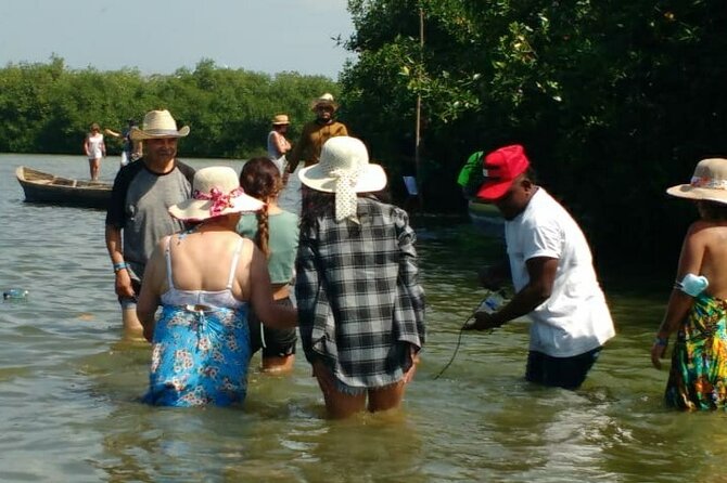 Cartagena Mangrove Private Tour - Should you book the Cartagena Mangrove Private Tour?