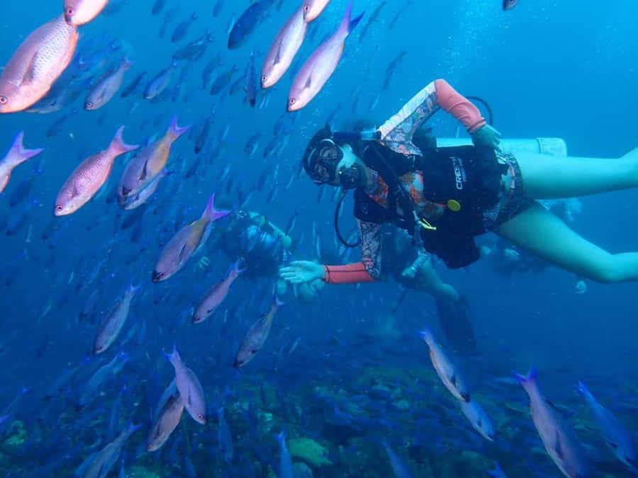 Cartagena: PADI DISCOVER SCUBA / MINICURSO DE BUCEO - Key highlights you’ll feel quickly