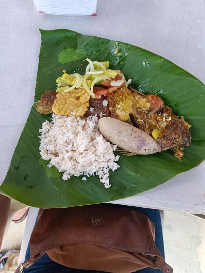 Cartagena: PALENQUE Tour AFRICAN TRADITIONS with Lunch - A Day Trip That Feels Like a Real Cultural Visit From Cartagena