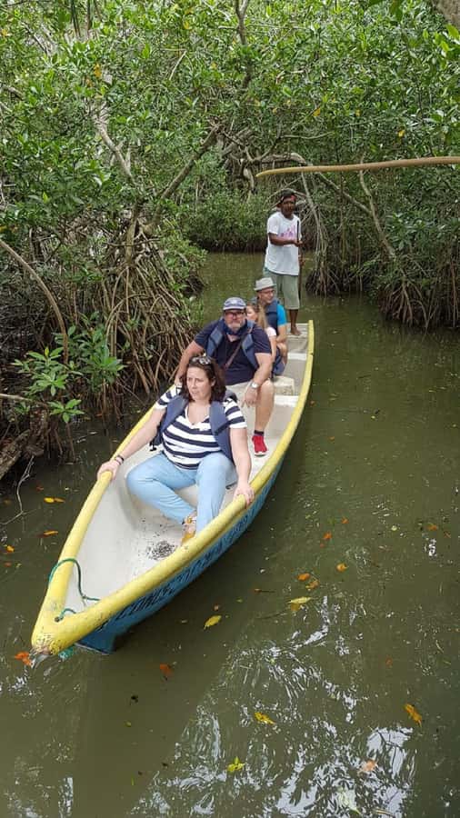 Cartagena: Private Sail in the mangrove GUIDE in ENGLISH - Who this Cartagena mangrove sail is best for