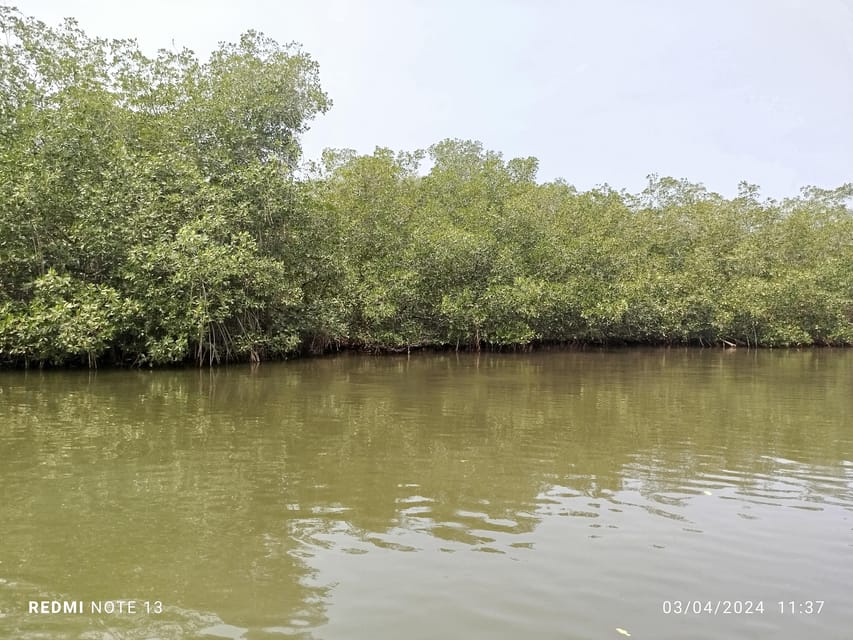 Cartagena: Private Sail in the mangrove GUIDE in ENGLISH - Price and value: $25, plus optional transport