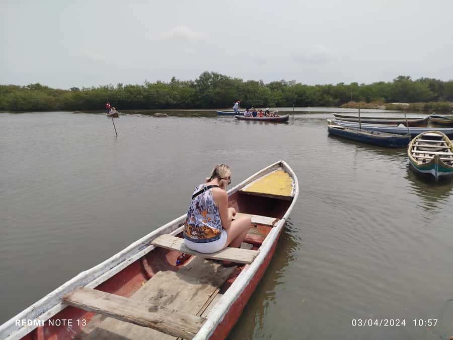 Cartagena: Private Sail in the mangrove GUIDE in ENGLISH - Organization reality check: what the reviews suggest about AV COL