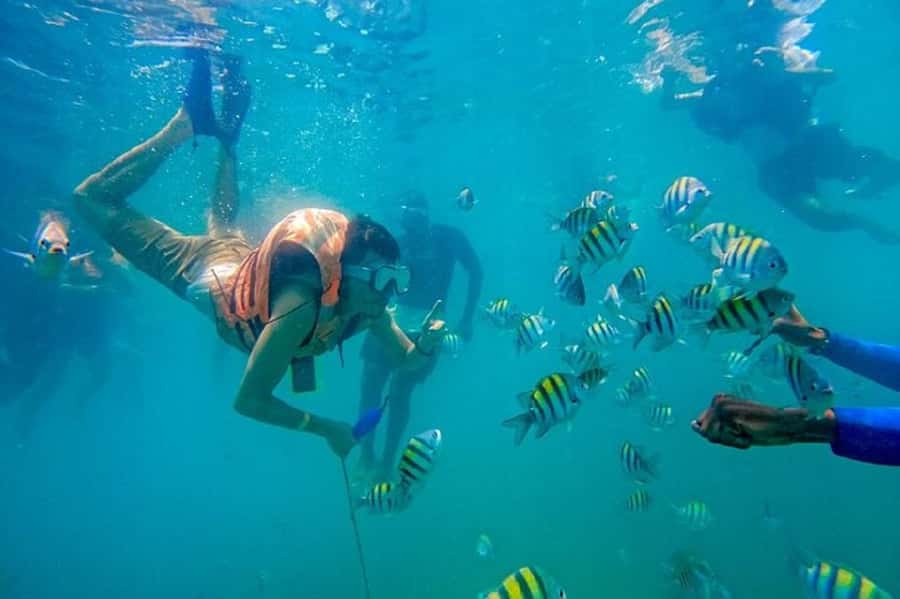 Cartagena: Raccoon Island Snorkel, Mangrove, Photos & Lunch - Key points worth knowing before you go