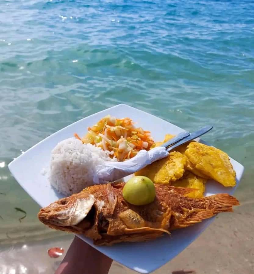 Cartagena: Raccoon Island Snorkel, Mangrove, Photos & Lunch - Quick checklist for your water and sand day