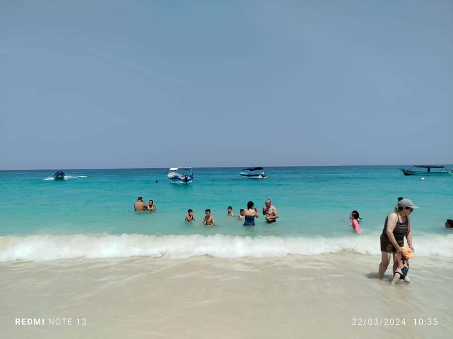 Cartagena: Raccoon Island Snorkel, Mangrove, Photos & Lunch - Who should book this tour, and who should skip it
