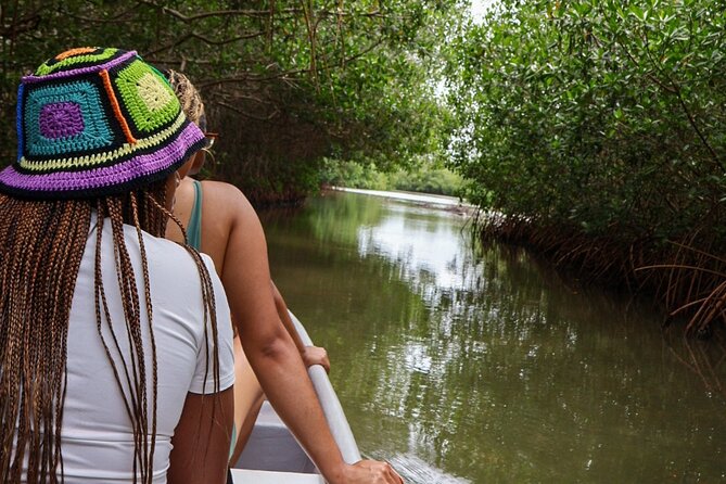 Cartagena Real : neighborhood, mangrove, fishing, typical lunch and culture - Playas de la Boquilla, a Quieter Caribbean Beach