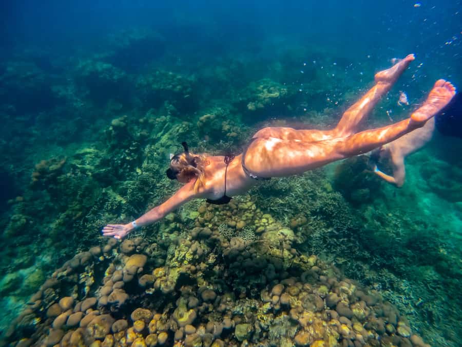 Cartagena: Rosario Islands Day Tour with Snorkel & Lunch - Snorkeling on Isla Grande: included gear, plus tips for staying comfortable
