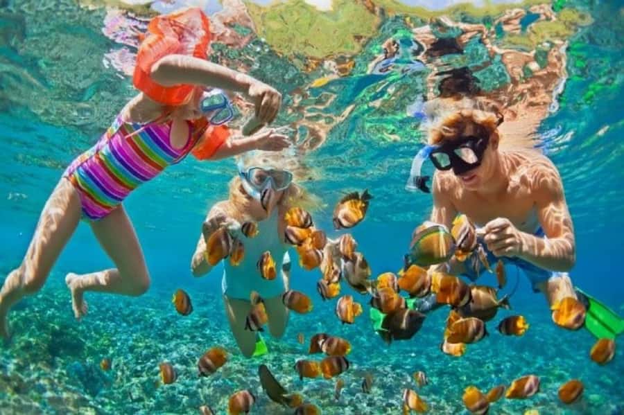 Cartagena: Rosario islands Playa Blanca Barù by boat & lunch - Key things to know before you go
