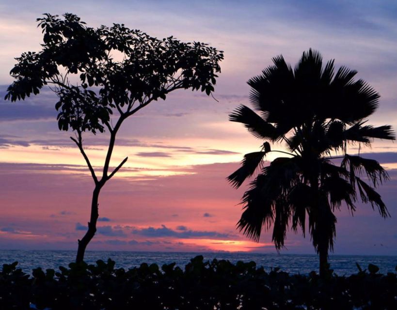 Cartagena: Rosario Islands Private Boat Tour - Cholón party island: drinks, photos, and a change of pace