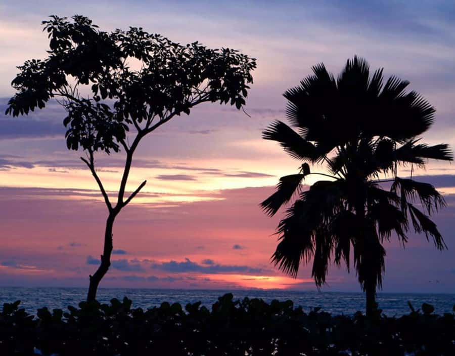 Cartagena: Rosario Islands Private Boat Tour - Playa Blanca on Barú: the real reason people book this