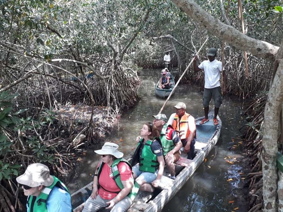Cartagena: Sail in the mangroves of Cartagena - Key Highlights Worth Your Time