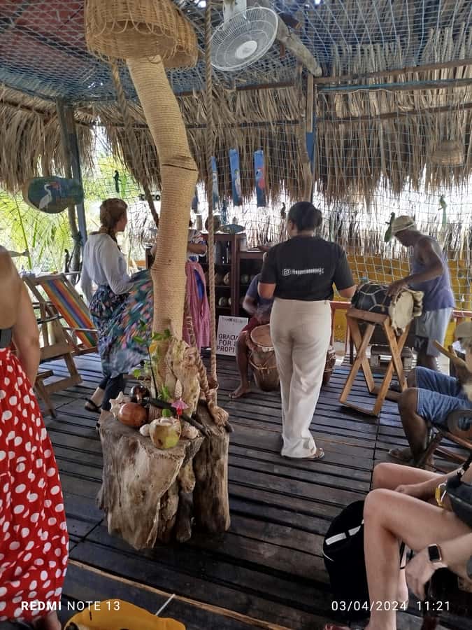 Cartagena: Sail in the mangroves of Cartagena - Birdwatching in Pantano de la Virgen: Herons, Pelicans, and Flamingos
