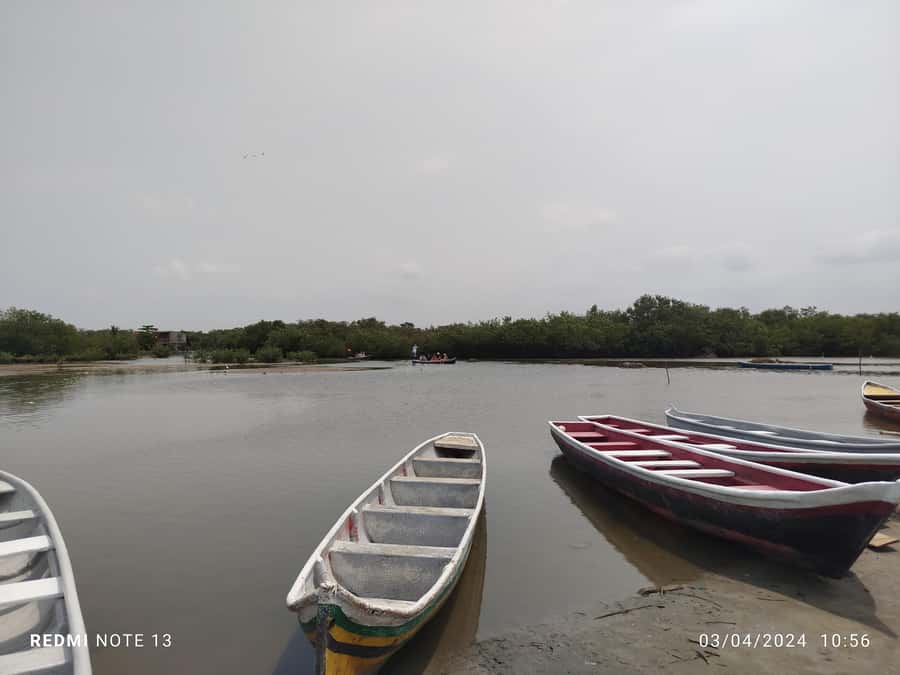 Cartagena: Sail in the mangroves of Cartagena - Price and Value: What $23 Buys You, Plus the Real Logistics