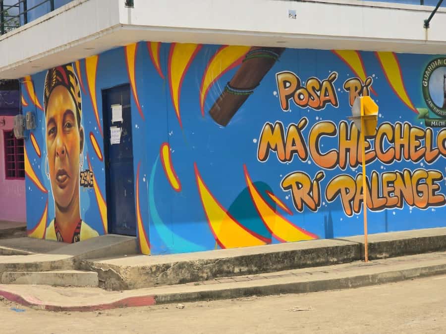 Cartagena: San Basilio de Palenque Guided Day Trip - Music, dance, and boxing: why these parts are more than performance
