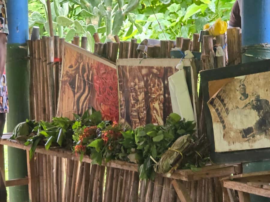 Cartagena: San Basilio de Palenque Guided Day Trip - Who should book this Palenque guided day trip
