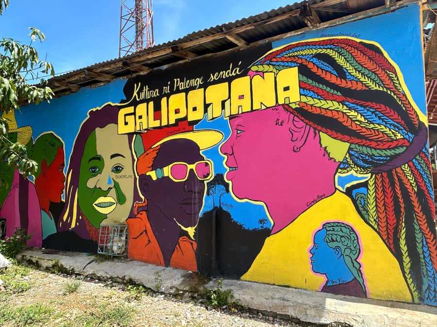 Cartagena:San Basilio de Palenque private DayTrip with Lunch - Key Points