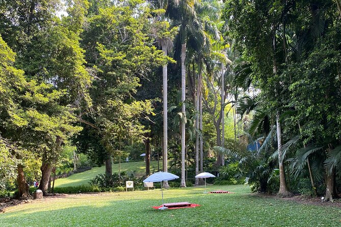 Cartagena : Sighting of fauna and flora in the botanical garden. - Botanical Garden Trails For Flora, Birds, And Easy Learning