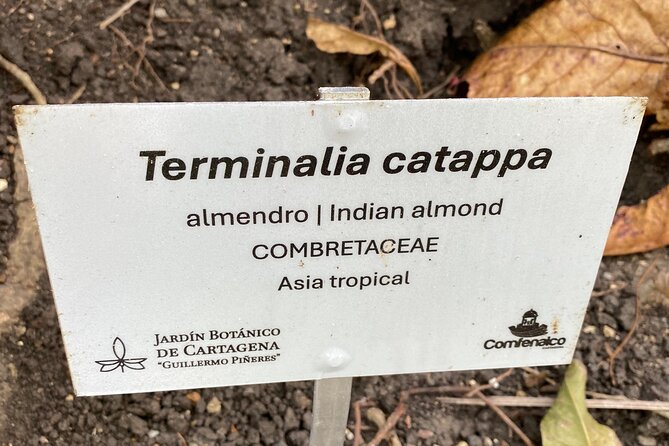 Cartagena : Sighting of fauna and flora in the botanical garden. - Food And Drinks: What’s Included, And Why It Helps