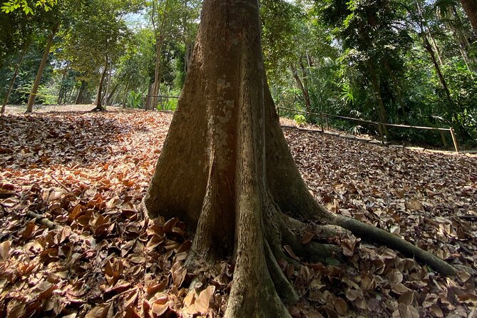 Cartagena : Sighting of fauna and flora in the botanical garden. - Duration, Timing, And Group Size That Still Feels Personal