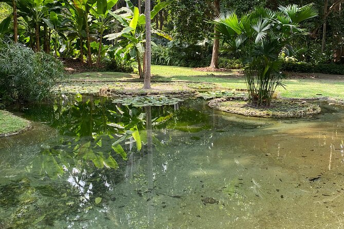 Cartagena : Sighting of fauna and flora in the botanical garden. - Price Value: Getting More Than Just a Garden Ticket