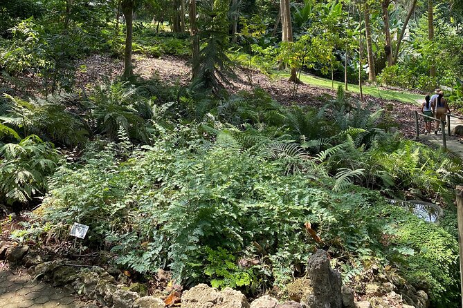 Cartagena : Sighting of fauna and flora in the botanical garden. - Who Should Book This Botanical Garden And Lake Tour