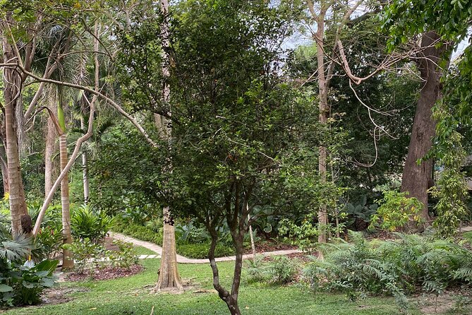 Cartagena : Sighting of fauna and flora in the botanical garden. - The Short Stroll To The Lake Oasis (Then The Fun Part)