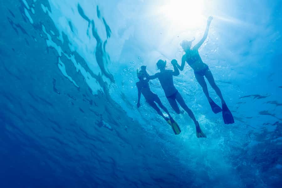 Cartagena: Snorkel, Mangroves and Playa Blanca Tour - Key highlights you should care about