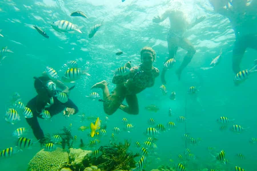 Cartagena: Snorkel, Mangroves and Playa Blanca Tour - FAQ