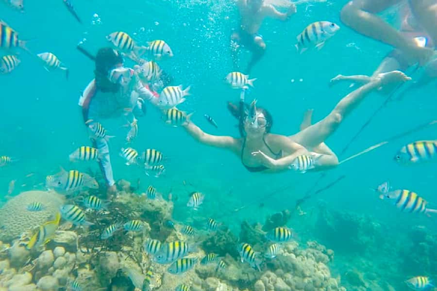 Cartagena: Snorkel, Mangroves and Playa Blanca Tour - Morning Pickup to Baru Island: what the start is really like