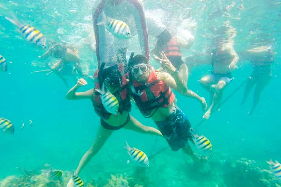 Cartagena: Snorkel, Mangroves and Playa Blanca Tour - The mangrove ecosystem walk: birds, iguanas, raccoons, and the mangrove tunnel