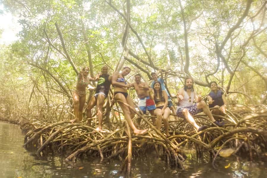 Cartagena: Snorkel, Mangroves and Playa Blanca Tour - The boat ride and timing: why the schedule feels smooth when it works